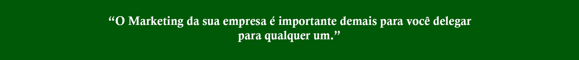 O marketing da sua empresa é importante demais para você delegar para qualquer um.